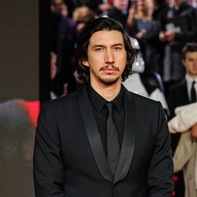 'It's an obvious metaphor!' Adam Driver on getting 65 role during COVID