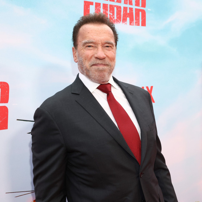 Arnold Schwarzenegger starring in Christmas comedy The Man With The Bag